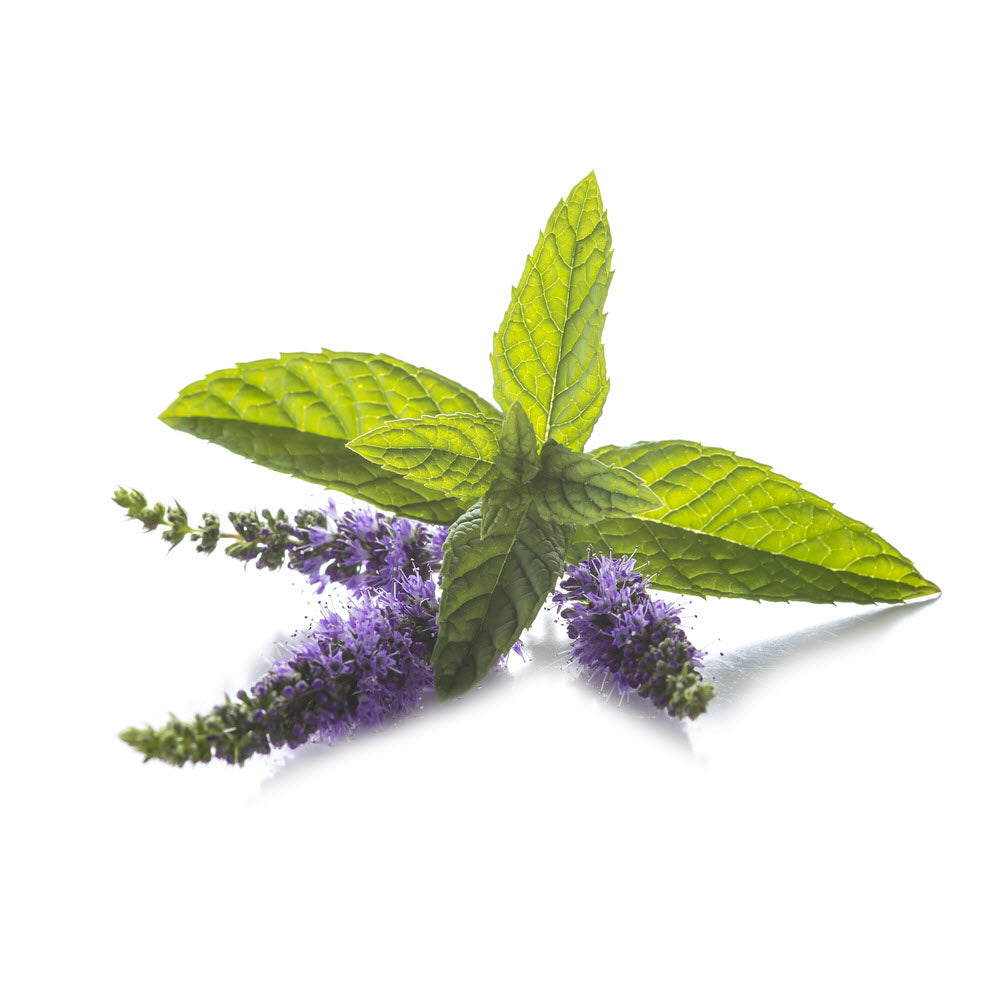 Tension Release Essential Oil Blend - Roller Bottle