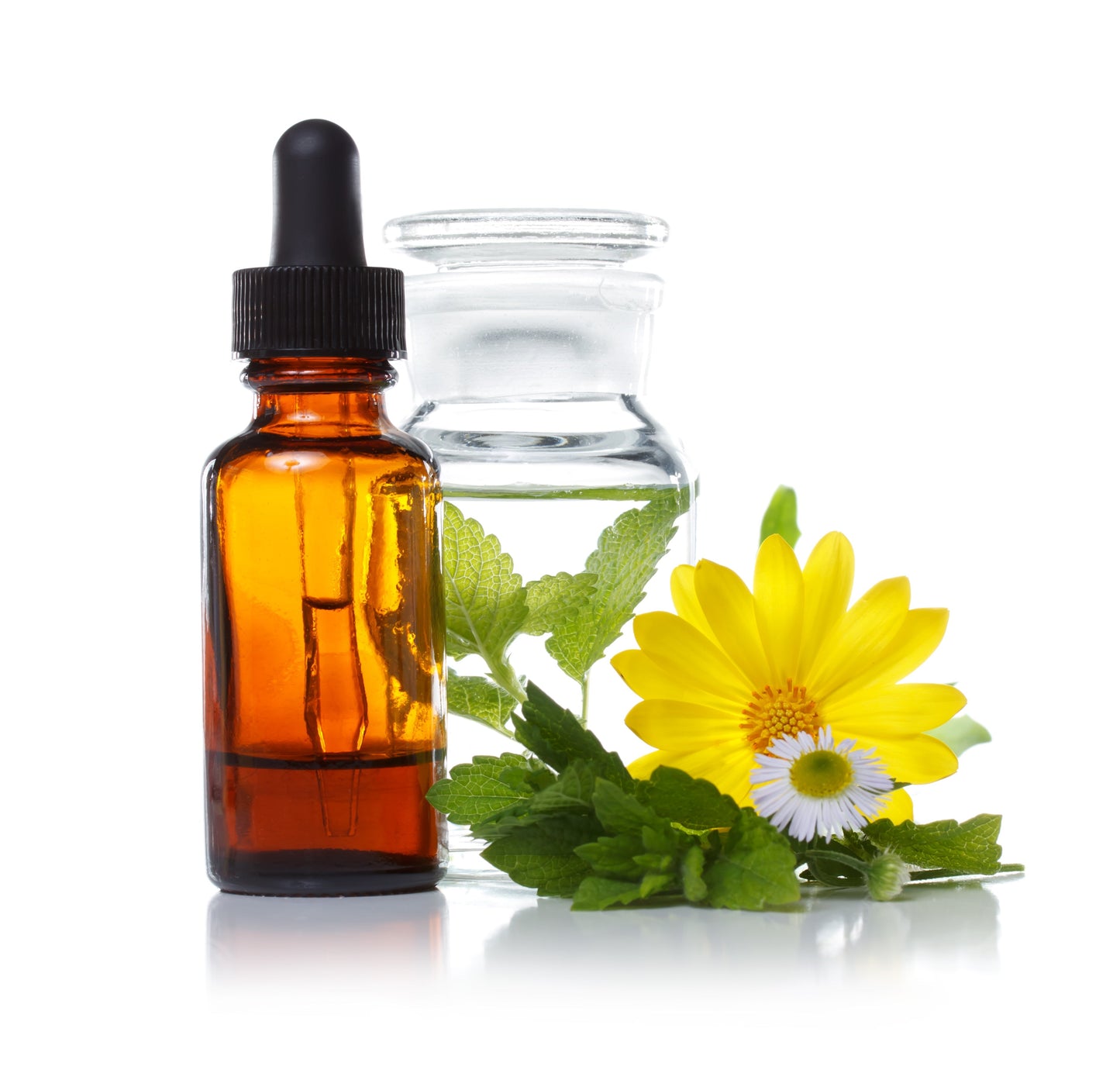 Antiparasite - Homeopathic Tincture