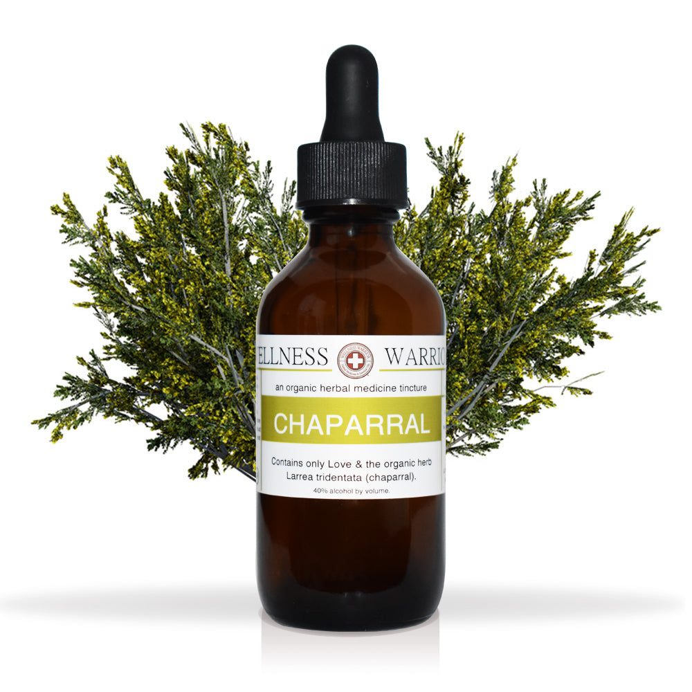 Chaparral Herbal Tincture