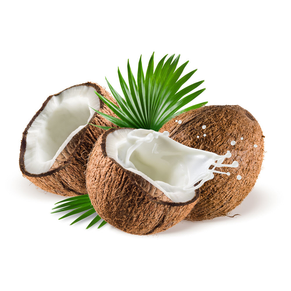 Coconut Carrier Oil