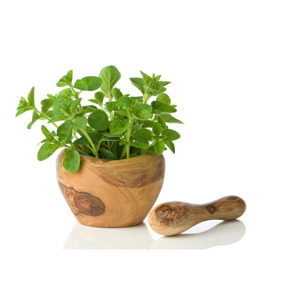 Oregano Essential Oil
