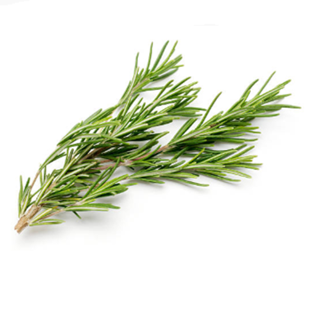 Rosemary Essential Oil